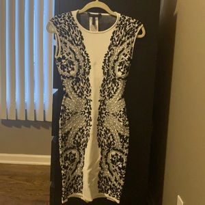 BCBG Fitted Elastic Dress